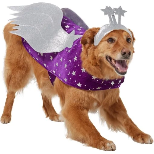 Frisco Shooting Stars Dog & Cat Costume -Dog Supplies 708614 MAIN. AC SS1800 V1689340940