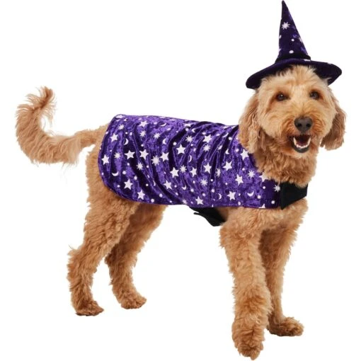 Frisco Cosmic Witch Dog & Cat Costume -Dog Supplies 708982 MAIN. AC SS1800 V1689282565