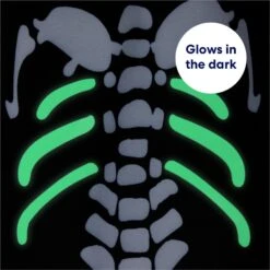 Frisco Glow In The Dark Skeleton Dog & Cat Costume -Dog Supplies 709038 PT5. AC SS1800 V1689340910