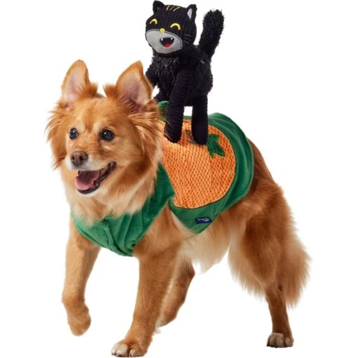 Frisco Pumpkin Cat Ride-On Dog & Cat Costume -Dog Supplies 709294 MAIN. AC SS1800 V1689270833