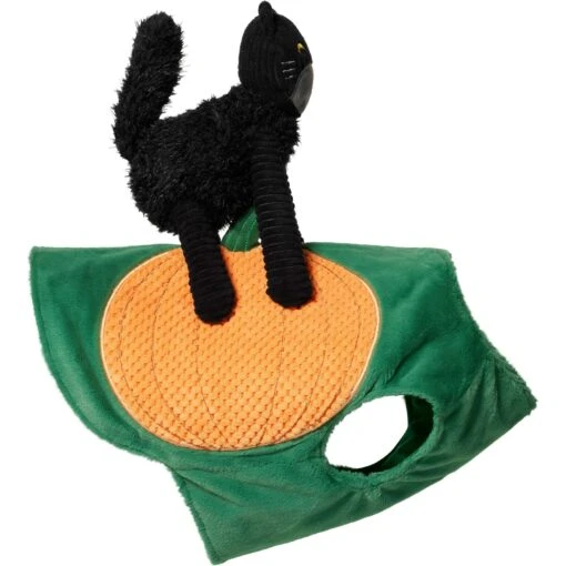 Frisco Pumpkin Cat Ride-On Dog & Cat Costume -Dog Supplies 709294 PT4. AC SS1800 V1689270836