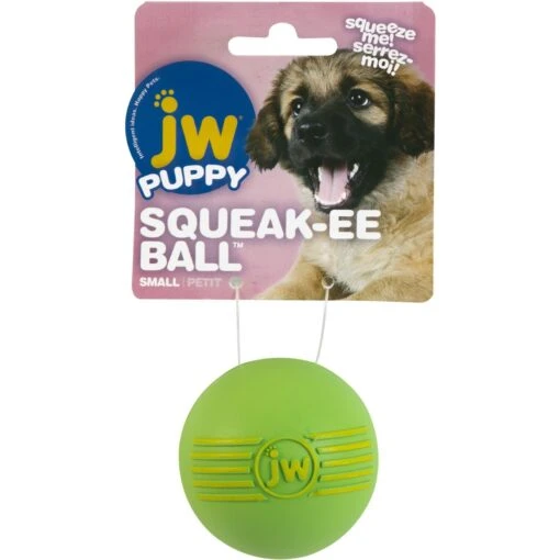 JW Pet ISqueak Ball Dog Toy, Color Varies -Dog Supplies 71041 MAIN. AC SS1800 V1534452151