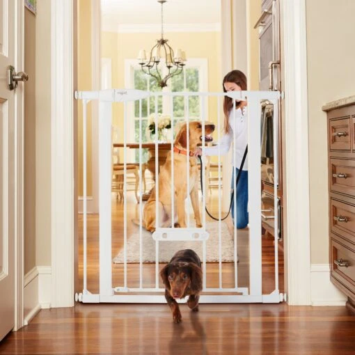 MyPet Tall & Wide Walk Thru Easypass Cat & Dog Gate, White -Dog Supplies 711774 MAIN. AC SS1800 V1670359778