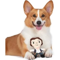 Fetch For Pets Star Wars Han Solo Plush Figure Dog Toy -Dog Supplies 728958 PT3. AC SS1800 V1682609363