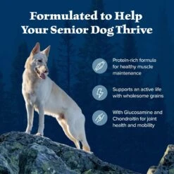 Blue Buffalo Wilderness Senior High Protein Natural Chicken & Wholesome Grains Dry Dog Food -Dog Supplies 735454 PT3. AC SS1800 V1694547716