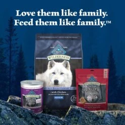 Blue Buffalo Wilderness Senior High Protein Natural Chicken & Wholesome Grains Dry Dog Food -Dog Supplies 735454 PT8. AC SS1800 V1694538072