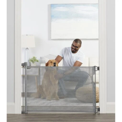 Carlson Pet Products Retractable Safety Dog Gate, Gray, Large -Dog Supplies 735742 MAIN. AC SS1800 V1670533369