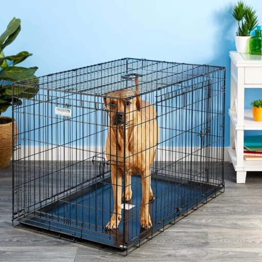 Precision Pet Products Provalu Double Door Collapsible Wire Dog Crate -Dog Supplies 74070 MAIN. AC SS1800 V1569014956