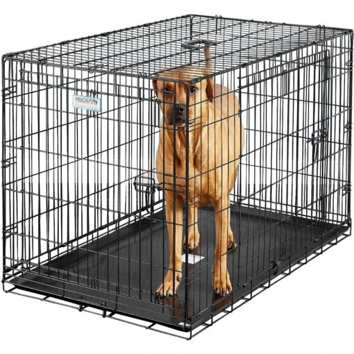 Precision Pet Products Provalu Double Door Collapsible Wire Dog Crate -Dog Supplies 74070 PT6. AC SS1800 V1569014836