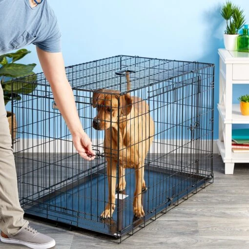 Precision Pet Products Provalu Double Door Collapsible Wire Dog Crate -Dog Supplies 74070 PT7. AC SS1800 V1496757266