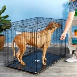 Precision Pet Products Provalu Double Door Collapsible Wire Dog Crate -Dog Supplies 74070 PT8. AC SS1800 V1496757360