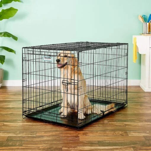 Precision Pet Products Provalu Single Door Collapsible Wire Dog Crate -Dog Supplies 74077 MAIN. AC SS1800 V1569015121