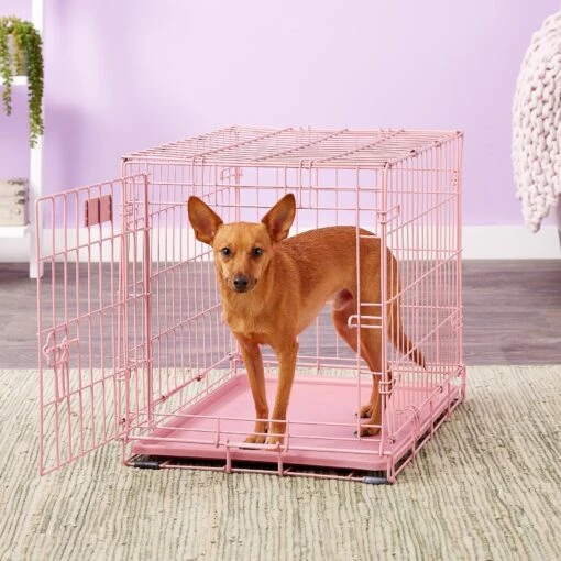 MidWest ICrate Single Door Collapsible Wire Dog Crate, Pink, 24 Inch -Dog Supplies 74290 MAIN. AC SS1800 V1569015230