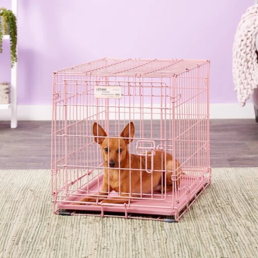 MidWest ICrate Single Door Collapsible Wire Dog Crate, Pink, 24 Inch -Dog Supplies 74290 PT5. AC SS1800 V1562173055