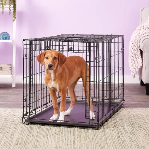 MidWest Ovation Single Door Collapsible Wire Dog Crate -Dog Supplies 74296 MAIN. AC SS1800 V1569015303