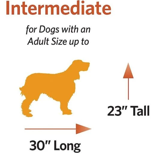 MidWest Ovation Single Door Collapsible Wire Dog Crate -Dog Supplies 74296 PT6. AC SS1800 V1485261398