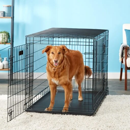 MidWest Ultima Pro Double Door Collapsible Wire Dog Crate -Dog Supplies 74309 MAIN. AC SS1800 V1569015173