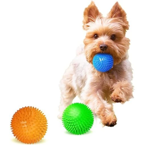 CoCoo Spiky Squeaky Dog & Ferret Rubber Ball, Dental Chew Fetch & Play Toy -Dog Supplies 748702 PT1. AC SS1800 V1688071205