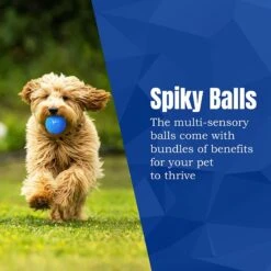 CoCoo Spiky Squeaky Dog & Ferret Rubber Ball, Dental Chew Fetch & Play Toy -Dog Supplies 748702 PT4. AC SS1800 V1684772851