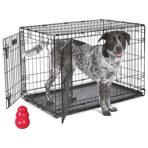 MidWest ICrate Fold & Carry Double Door Collapsible Wire Dog Crate & KONG Classic Dog Toy -Dog Supplies 752366 MAIN. AC SS1800 V1672869767