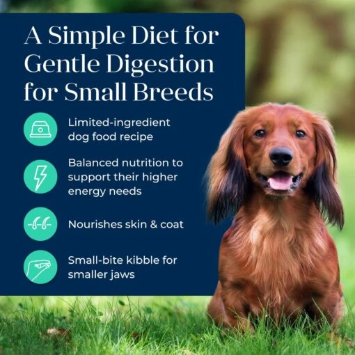 Blue Buffalo Basics Skin & Stomach Care Grain-Free Formula Lamb & Potato Recipe Small Breed Adult Dry Dog Food -Dog Supplies 75684 PT2. AC SS1800 V1646270782