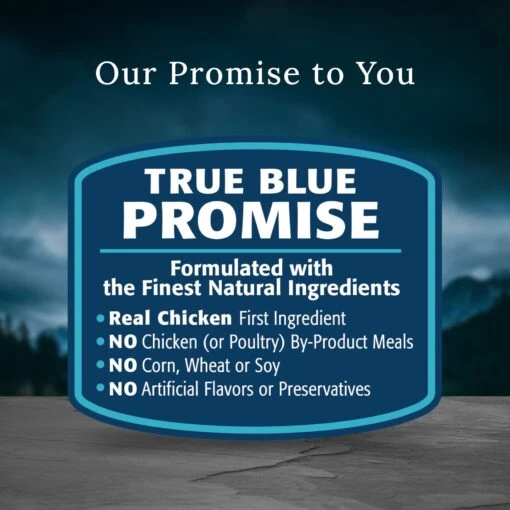 Blue Buffalo Blue Wilderness Premier Blend With Meaty Cuts Chicken Large Breed Adult Dry Dog Food, 24-lb Bag -Dog Supplies 761774 PT7. AC SS1800 V1680630140