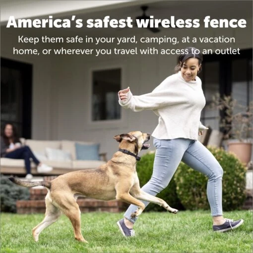 PetSafe Stay+Play Wireless Fence Receiver Collar -Dog Supplies 77164 PT4. AC SS1800 V1685727056