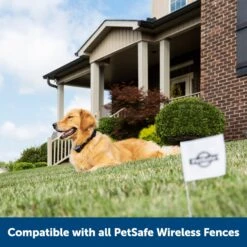 PetSafe Stay+Play Wireless Fence Receiver Collar -Dog Supplies 77164 PT6. AC SS1800 V1657661026