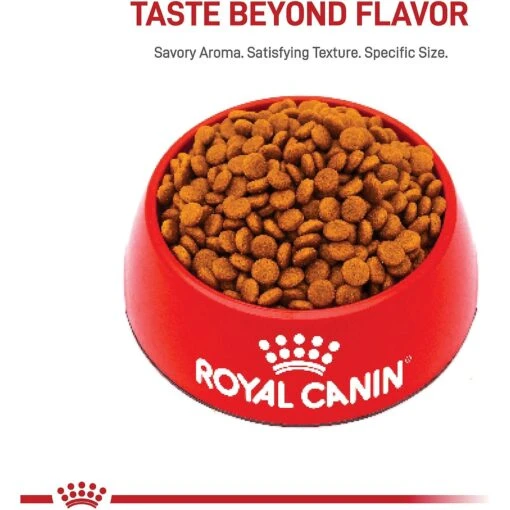 Royal Canin Size Health Nutrition Large Puppy Dry Dog Food -Dog Supplies 774142 PT1. AC SS1800 V1700161669