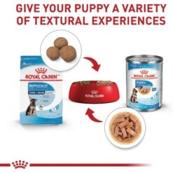 Royal Canin Size Health Nutrition Large Puppy Dry Dog Food -Dog Supplies 774142 PT5. AC SS1800 V1700158615