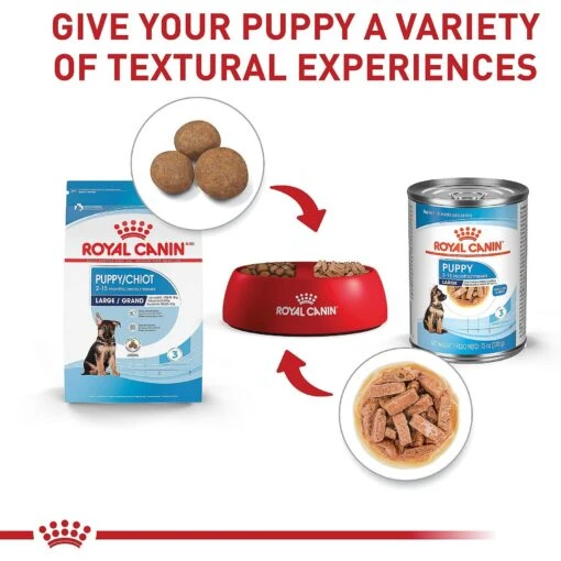 Royal Canin Size Health Nutrition Large Puppy Dry Dog Food -Dog Supplies 774142 PT5. AC SS1800 V1700158615