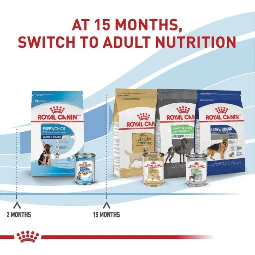 Royal Canin Size Health Nutrition Large Puppy Dry Dog Food -Dog Supplies 774142 PT6. AC SS1800 V1700156757