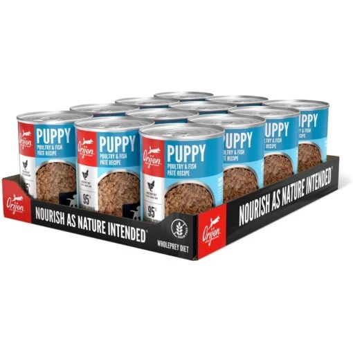 ORIJEN Puppy Recipe Poultry & Fish Pate Grain-Free Wet Dog Food & ORIJEN Puppy Grain-Free Dry Puppy Food -Dog Supplies 774390 PT5. AC SS1800 V1684454048