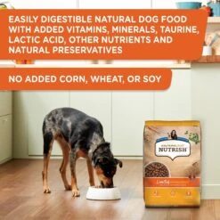 Rachael Ray Nutrish Limited Ingredient Lamb Meal & Brown Rice Recipe Dry Dog Food -Dog Supplies 77994 PT4. AC SS1800 V1692806348