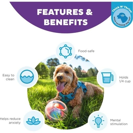 Outward Hound Dog Rumble Puzzle Ball Puzzle & Treat Maze Interactive Dog Toy, Orange -Dog Supplies 786558 PT1. AC SS1800 V1694287308