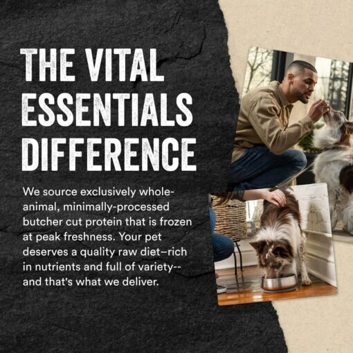 Vital Essentials Beef Nibs Entree Freeze-Dried Raw Dog Food -Dog Supplies 793582 PT5. AC SS1800 V1687961739