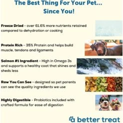 A Better Treat Raw Salmon Dog Freeze-Dried Food -Dog Supplies 793886 PT2. AC SS1800 V1677693645