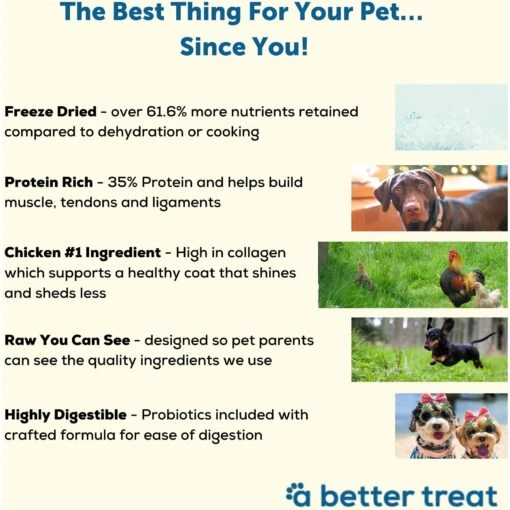 A Better Treat Chicken Dog Freeze-Dried Food -Dog Supplies 793918 PT2. AC SS1800 V1677694030