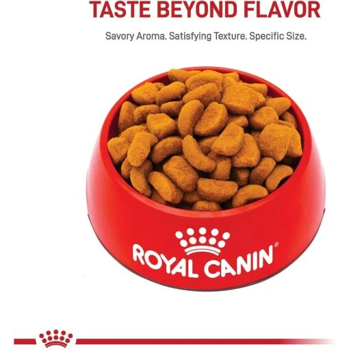 Royal Canin Breed Health Nutrition Rottweiler Adult Dry Dog Food -Dog Supplies 81125 PT1. AC SS1800 V1695156632