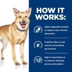 Hill's Prescription Diet I/d Digestive Care Chicken & Vegetable Stew Wet Dog Food -Dog Supplies 81163 PT6. AC SS1800 V1657661032