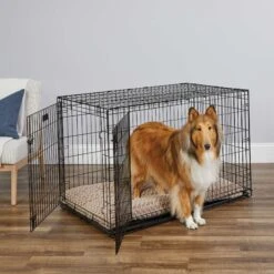 MidWest ICrate Fold & Carry Double Door Collapsible Wire Dog Crate & MidWest Steel Pet Gate -Dog Supplies 815238 PT2. AC SS1800 V1679500811