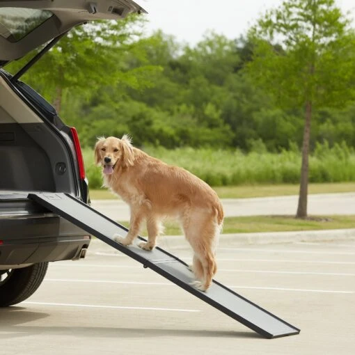 Gen7Pets Feather Lite Foldable Dog Car Ramp -Dog Supplies 81573 MAIN. AC SS1800 V1558555696