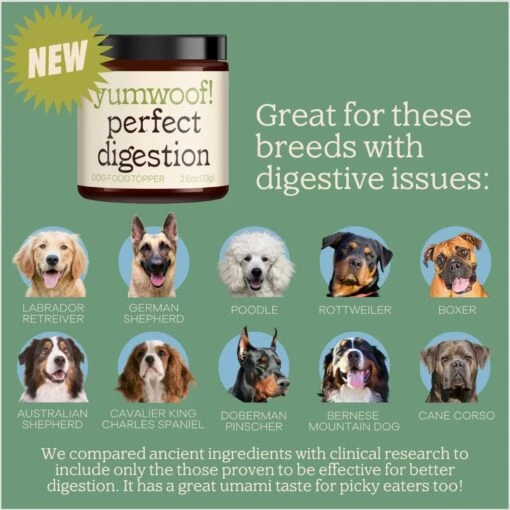 Yumwoof Natural Pet Food Perfect Digestion Dog Food Topper, 2.5-oz Jar -Dog Supplies 823806 PT5. AC SS1800 V1681230869