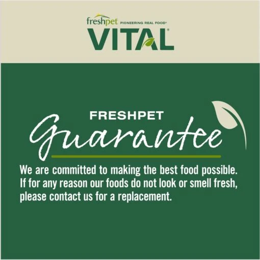 Freshpet Vital Fresh Cuts Chicken Recipe Fresh Dog Food -Dog Supplies 824974 PT7. AC SS1800 V1681227708