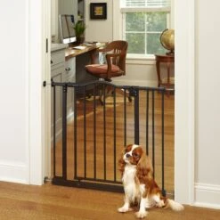 MyPet Windsor Arch Pet Gate For Dogs & Cats -Dog Supplies 83472 PT5. AC SS1800 V1624611470