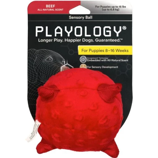 Playology Puppy Sensory Ball Beef Dog Toy -Dog Supplies 838934 MAIN. AC SS1800 V1685652104