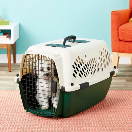 Petmate Ruff Maxx Dog & Cat Kennel, Off White/Green -Dog Supplies 83941 MAIN. AC SS1800 V1569016038