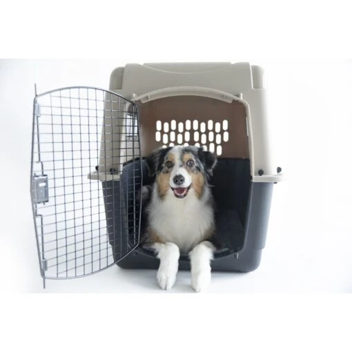 Petmate Ultra Vari Dog & Cat Kennel, Taupe/Black -Dog Supplies 83947 PT3. AC SS1800 V1569016066