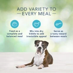 Blue Buffalo Freedom Senior Chicken Recipe Grain-Free Canned Dog Food -Dog Supplies 84150 PT5. AC SS1800 V1585084659