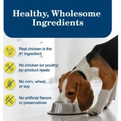 Blue Buffalo Homestyle Recipe Healthy Weight Chicken Dinner With Garden Vegetables & Brown Rice Canned Dog Food -Dog Supplies 84158 PT5. AC SS1800 V1689355691